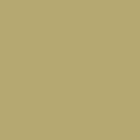 Краска Oikos Фасадная линия BIOCOMPACT ELASTIC Bio-elast-TL433 зеленый — купить в Москве в интернет-магазине Snabimport