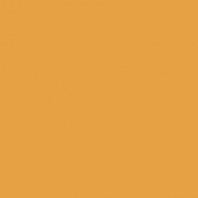 Краска Oikos Фасадная линия BIOCOMPACT ELASTIC Bio-elast-TL442 желтый — купить в Москве в интернет-магазине Snabimport