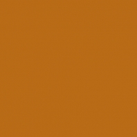 Краска Oikos Фасадная линия BIOCOMPACT ELASTIC Bio-elast-TL461 коричневый — купить в Москве в интернет-магазине Snabimport