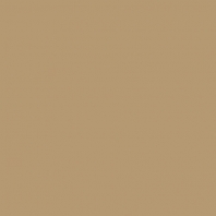 Краска Oikos Фасадная линия BIOCOMPACT ELASTIC Bio-elast-TL474 коричневый — купить в Москве в интернет-магазине Snabimport