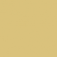 Краска Oikos Фасадная линия BIOCOMPACT ELASTIC Bio-elast-TL483 желтый — купить в Москве в интернет-магазине Snabimport