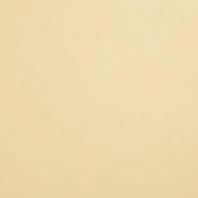 Краска Oikos Фасадная линия BIOCOMPACT ELASTIC Bio-elast-TL493 желтый — купить в Москве в интернет-магазине Snabimport