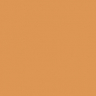 Краска Oikos Фасадная линия BIOCOMPACT ELASTIC Bio-elast-TL501 оранжевый — купить в Москве в интернет-магазине Snabimport