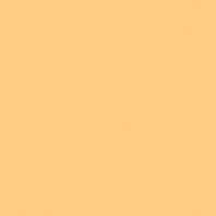 Краска Oikos Фасадная линия BIOCOMPACT ELASTIC Bio-elast-TL503 желтый — купить в Москве в интернет-магазине Snabimport