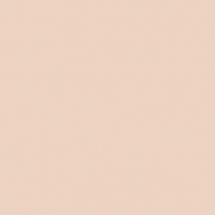 Краска Oikos Фасадная линия BIOCOMPACT ELASTIC Bio-elast-TL514 коричневый — купить в Москве в интернет-магазине Snabimport