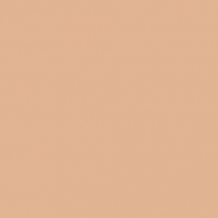 Краска Oikos Фасадная линия BIOCOMPACT ELASTIC Bio-elast-TL563 коричневый — купить в Москве в интернет-магазине Snabimport