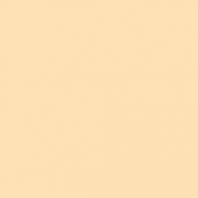 Краска Oikos Фасадная линия BIOCOMPACT ELASTIC Bio-elast-TL574 желтый — купить в Москве в интернет-магазине Snabimport