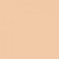 Краска Oikos Фасадная линия BIOCOMPACT ELASTIC Bio-elast-TL583 коричневый — купить в Москве в интернет-магазине Snabimport