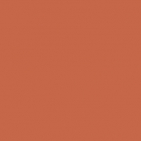 Краска Oikos Фасадная линия BIOCOMPACT ELASTIC Bio-elast-TL591 коричневый — купить в Москве в интернет-магазине Snabimport