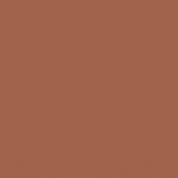 Краска Oikos Фасадная линия BIOCOMPACT ELASTIC Bio-elast-TL602 коричневый — купить в Москве в интернет-магазине Snabimport