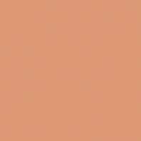 Краска Oikos Фасадная линия BIOCOMPACT ELASTIC Bio-elast-TL603 коричневый