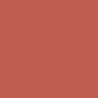 Краска Oikos Фасадная линия BIOCOMPACT ELASTIC Bio-elast-TL673 коричневый — купить в Москве в интернет-магазине Snabimport