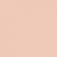 Краска Oikos Фасадная линия BIOCOMPACT ELASTIC Bio-elast-TL713 коричневый — купить в Москве в интернет-магазине Snabimport