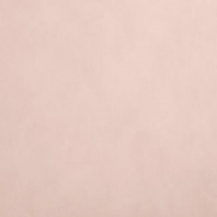 Краска Oikos Фасадная линия BIOCOMPACT ELASTIC Bio-elast-TL744 коричневый — купить в Москве в интернет-магазине Snabimport