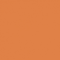 Краска Oikos Фасадная линия BIOCOMPACT ELASTIC Bio-elast-TL774 коричневый