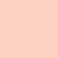 Краска Oikos Фасадная линия BIOCOMPACT ELASTIC Bio-elast-TL784 Бежевый