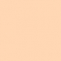 Краска Oikos Фасадная линия BIOCOMPACT ELASTIC Bio-elast-TL804 Бежевый — купить в Москве в интернет-магазине Snabimport