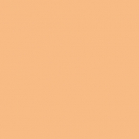 Краска Oikos Фасадная линия BIOCOMPACT ELASTIC Bio-elast-TL841 коричневый — купить в Москве в интернет-магазине Snabimport