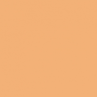 Краска Oikos Фасадная линия BIOCOMPACT ELASTIC Bio-elast-TL842 коричневый — купить в Москве в интернет-магазине Snabimport