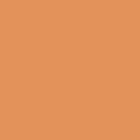 Краска Oikos Фасадная линия BIOCOMPACT ELASTIC Bio-elast-TL852 коричневый — купить в Москве в интернет-магазине Snabimport