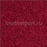 Ковровое покрытие Balsan LES BEST S 585 — купить в Москве в интернет-магазине Snabimport