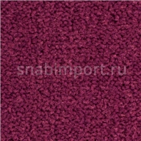 Ковровое покрытие Balsan LES BEST S 599 — купить в Москве в интернет-магазине Snabimport