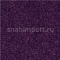 Ковровое покрытие Balsan LES BEST S 899 — купить в Москве в интернет-магазине Snabimport