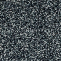 Ковровое покрытие Balsan MEZZO ROLL 995 ANTHRACITE — купить в Москве в интернет-магазине Snabimport