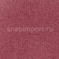 Ковровое покрытие Radici Pietro Admiral BLUSH 2203 коричневый — купить в Москве в интернет-магазине Snabimport