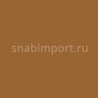 Сценическая краска Rosco Off Broadway 5355 Raw Sienna, 0,473 л Бежевый — купить в Москве в интернет-магазине Snabimport