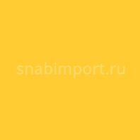 Сценическая краска Rosco Off Broadway 5367 Gold, 0,473 лen Yellow, 0,473 л желтый — купить в Москве в интернет-магазине Snabimport