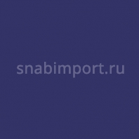 Сценическая краска Rosco Off Broadway 5368 Purple, 0,473 л синий — купить в Москве в интернет-магазине Snabimport