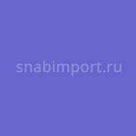 Сценическая краска Rosco Off Broadway 5373 Pthalo Blue, 0,473 л Фиолетовый — купить в Москве в интернет-магазине Snabimport