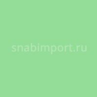 Светофильтр Rosco CalColor 4430 зеленый — купить в Москве в интернет-магазине Snabimport