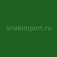 Светофильтр Rosco CalColor 4490 зеленый — купить в Москве в интернет-магазине Snabimport