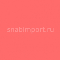 Светофильтр Rosco CalColor 4630 Красный — купить в Москве в интернет-магазине Snabimport