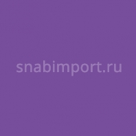 Светофильтр Rosco CalColor 4960 Фиолетовый — купить в Москве в интернет-магазине Snabimport