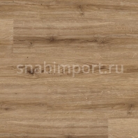 Виниловый ламинат Polyflor Camaro Wood PUR 2232 Natural Oak — купить в Москве в интернет-магазине Snabimport