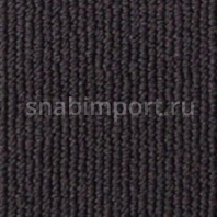 Ковровое покрытие Infloor CAMPUS 385 — купить в Москве в интернет-магазине Snabimport