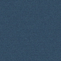 Ковролин Carus Caractere-884 синий
