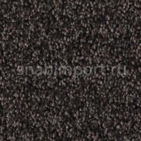 Ковровое покрытие AW CARISSIMA 45 чёрный