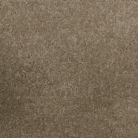 Ковровое покрытие Jabo-carpets Carpet 1637-540 — купить в Москве в интернет-магазине Snabimport