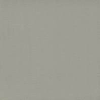 Ковровое покрытие Tapibel Casa-24841 Серый — купить в Москве в интернет-магазине Snabimport