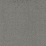 Ковровое покрытие Tapibel Casa-24844 Серый