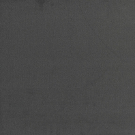 Ковровое покрытие Tapibel Casa-24845 чёрный — купить в Москве в интернет-магазине Snabimport