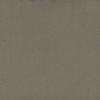 Ковровое покрытие Tapibel Casa-24847 Серый — купить в Москве в интернет-магазине Snabimport