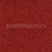 Ковровое покрытие Infloor Cashmere 140 — купить в Москве в интернет-магазине Snabimport