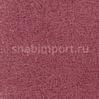 Ковровое покрытие Radici Pietro Dolce Vita SB CASSIS 9803 коричневый — купить в Москве в интернет-магазине Snabimport