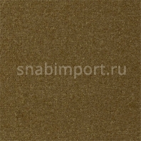 Ковровое покрытие Rols Castor 908 коричневый — купить в Москве в интернет-магазине Snabimport