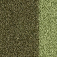 Ковровое покрытие Balsan Les Best Design II - Casual 250 TILLEUL зеленый